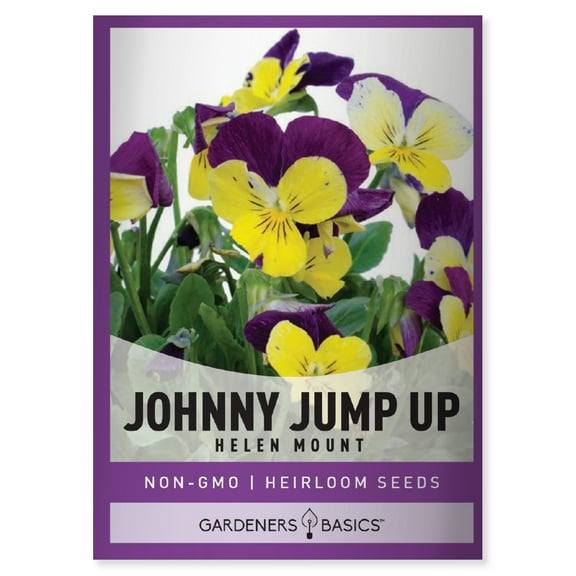 Helen Mount Johnny Jump Up Seeds