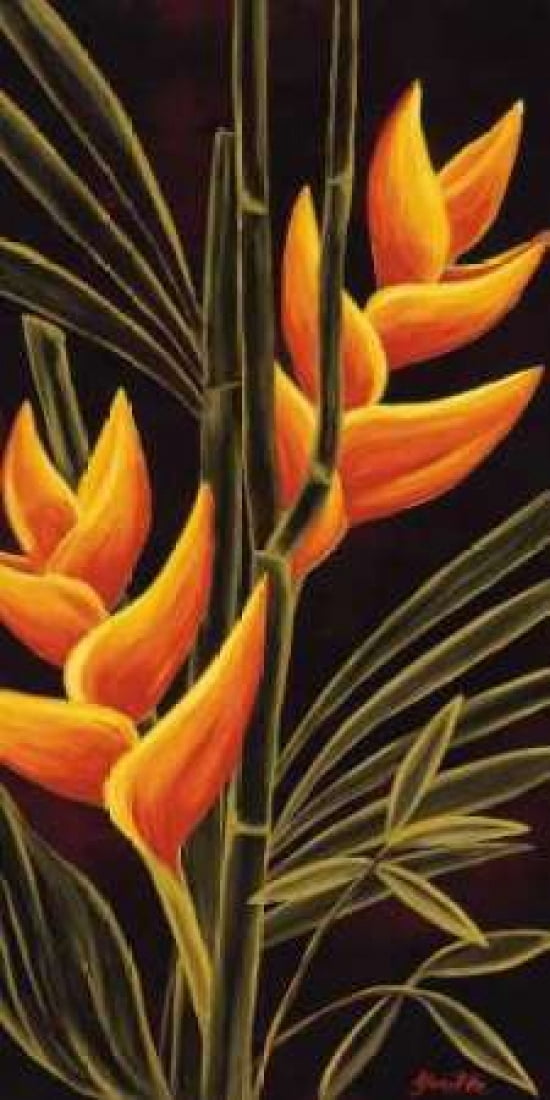 Heliconia Canvas Art - Yvette St Amant (24 x 48)