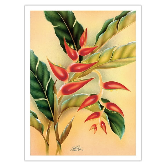 Heliconia Flower - Vintage Hawaiian Airbrush Art by Frank Oda (Hale Pua Studio) c.1940s - Bamboo Fine Art 290gsm Paper (Unframed) 12x16in