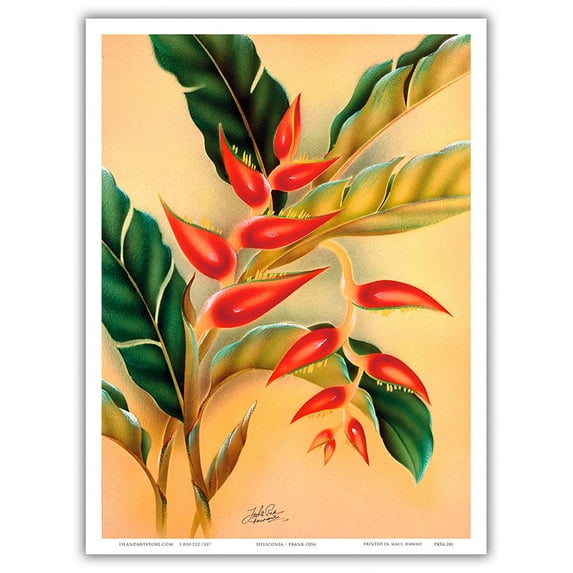 Heliconia Flower - Vintage Hawaiian Airbrush Art by Frank Oda (Hale Pua Studio) c.1940s - Master Art Print (Unframed) 9in x 12in