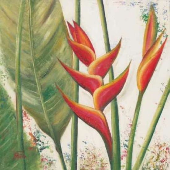 Heliconias With Leaves II Canvas Art - Patricia Pinto (24 x 24)
