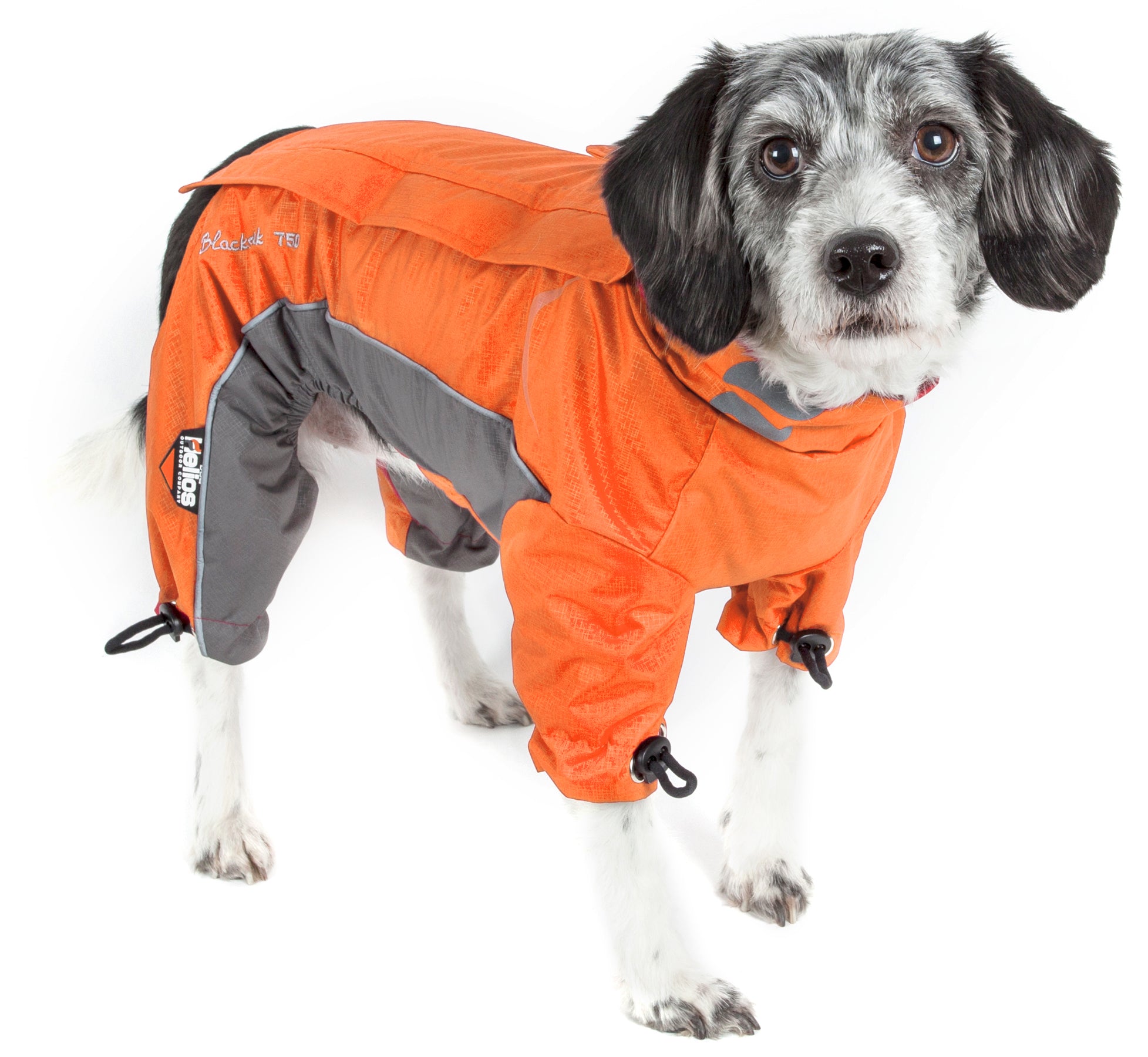 Helios Blizzard Full-Bodied Adjustable and 3M Reflective Dog