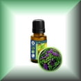 thumbnail image 1 of Heliotrope Absolute Essential Oil (Heliotropium Arborescens), 1 of 1