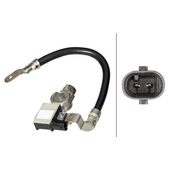 Hella 010840911 Sensor, Battery Management;Hella;12 V;Bolted;217mm;