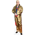 thumbnail image 1 of Hella Von Sinnen (Gold Outfit) Lifesize Cardboard Cutout Standee, 1 of 7
