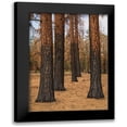 thumbnail image 1 of Hellmann, Stan 11x14 Black Modern Framed Museum Art Print Titled - Ponderosa Forest after Fire, 1 of 5