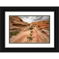 thumbnail image 1 of Hellmann, Stan 14x11 Black Ornate Wood Framed with Double Matting Museum Art Print Titled - Valley of Fire I, 1 of 4