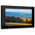 thumbnail image 1 of Hellmann, Stan 18x13 Black Modern Framed Museum Art Print Titled - Dundee Hills I, 1 of 5