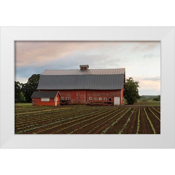 Hellmann, Stan 18x13 White Modern Wood Framed Museum Art Print Titled - Mt. Angel Barn