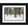 thumbnail image 1 of Hellmann, Stan 24x17 Black Ornate Wood Framed with Double Matting Museum Art Print Titled - Ponderosa Forest, 1 of 4