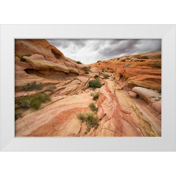 Hellmann, Stan 24x17 White Modern Wood Framed Museum Art Print Titled - Valley of Fire I