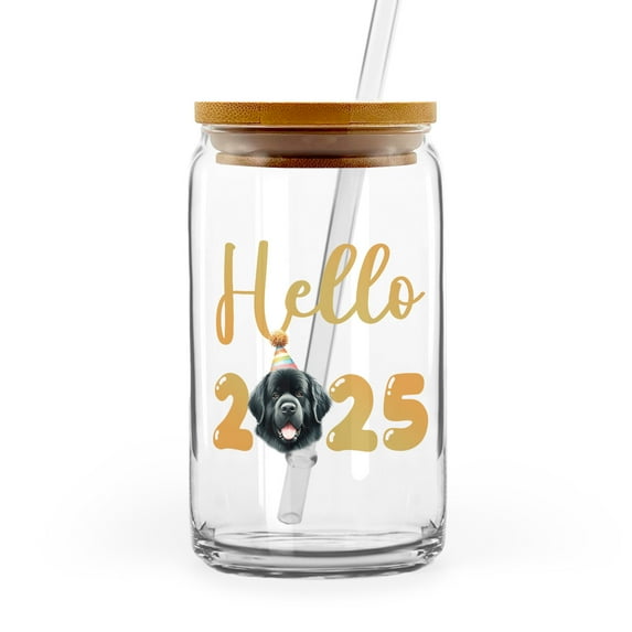 Hello 2025 Newfoundland Celebrates Happy New Year Firework Balloon 16oz Glass Cup Mug Newfie Dog Lover Gifts Glass Can with Bamboo Lid and Straw - 02024