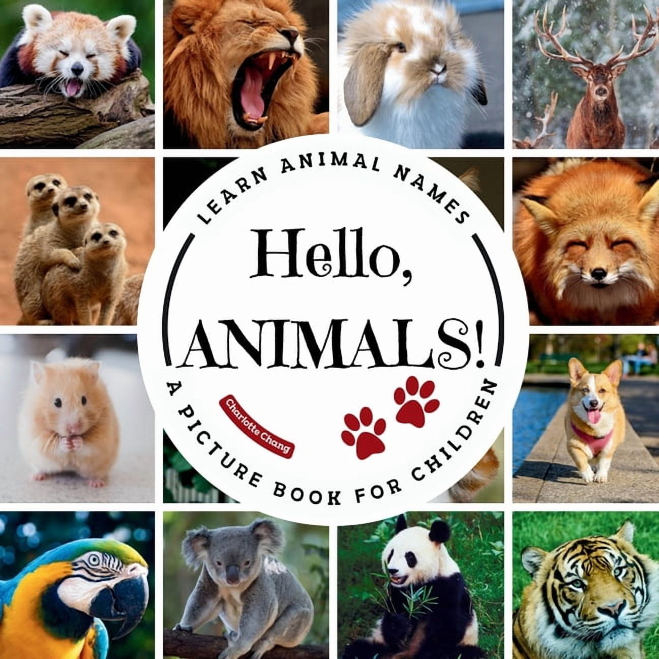 Hello Animals Hello, Animals!: A Picture Book to Learn Animal Names and Build ...