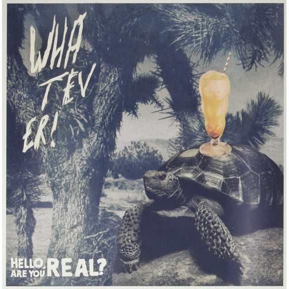 Whatever Hello Are You Real / Aron Dalesio (Vinyl Record)