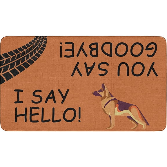 Hello Door Mat Outdoor Entry Rug, Waterproof Door Mat for Inside Entryway Decor, Funny Welcome Mat Outdoor with Cute Text and Pattern for Home Decor or Dog Mat for Muddy Paws, 30"x17"Indoor Door Mat