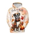 thumbnail image 1 of Hello Fall Boxer Scarf Welcome Autumn with Leaves Pumpkins All Over Print 3D Hoodie Unisex Merch Hoodies Boxers Dog Lover Gifts Idea - 00011, 1 of 6