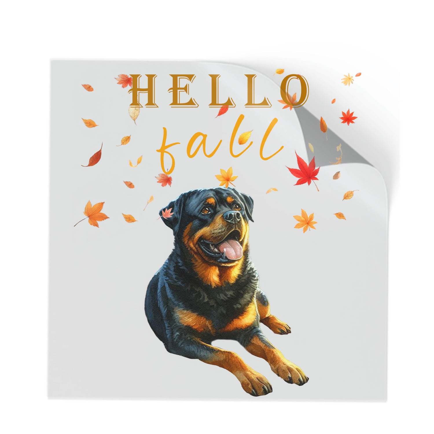 Hello Fall Rottweiler Enjoys Warm Campfire Autumn Night Bright Moon ...