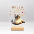 thumbnail image 1 of Hello Fall Siamese Enjoys Warm Campfire Autumn Night Bright Moon Acrylic Plaque Sign Ashwood Base Cat Lover Kitten Owner Gifts Home Desk Decor - 01008, 1 of 5