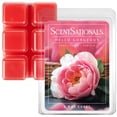 thumbnail image 1 of Hello Gorgeous Scented Wax Melts, ScentSationals, 2.5 oz, 1 of 6