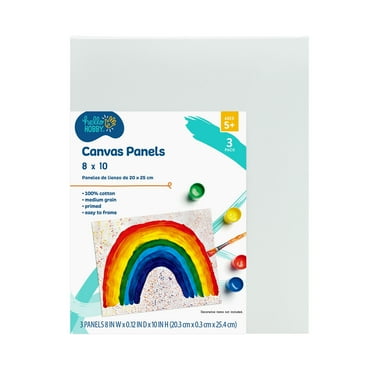 Hello Hobby 8x10 Panel Canvas, 3PK