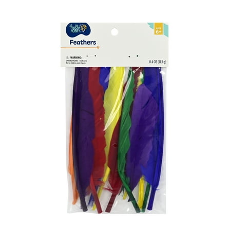 Hello Hobby Multicolor Goose Feathers, 4.75" x 0.52" x 8.75", 1 Pack