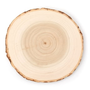 Hello Hobby Poplar 7" Round Rustic Wood Slice with Bark