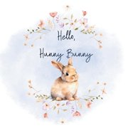 Hello, Hunny Bunny, Paperback