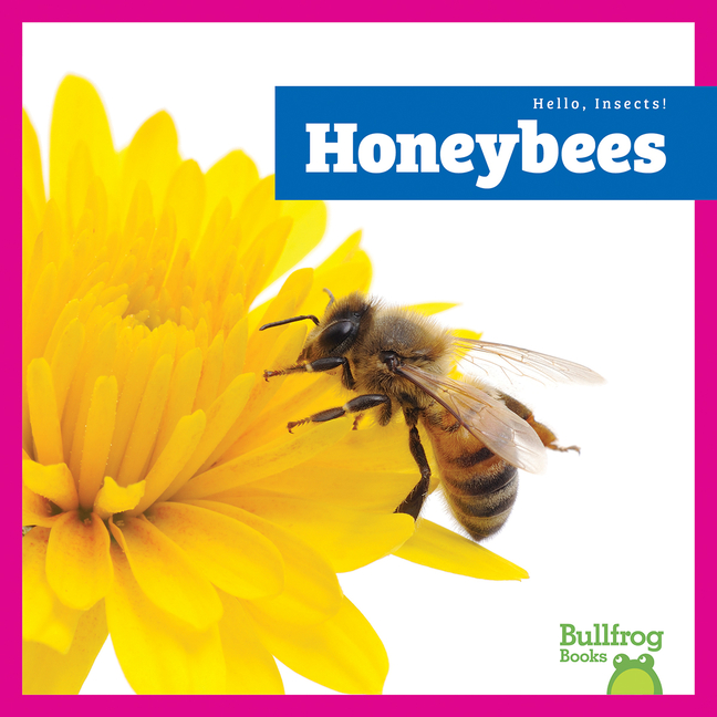 Hello, Insects! Honeybees, (Paperback)