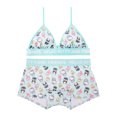 thumbnail image 1 of Hello Kitty & Friends Woman's and Juniors Triangle Bra & Boyshort Underwear set, 2-Pack, Size S-XL, 1 of 6