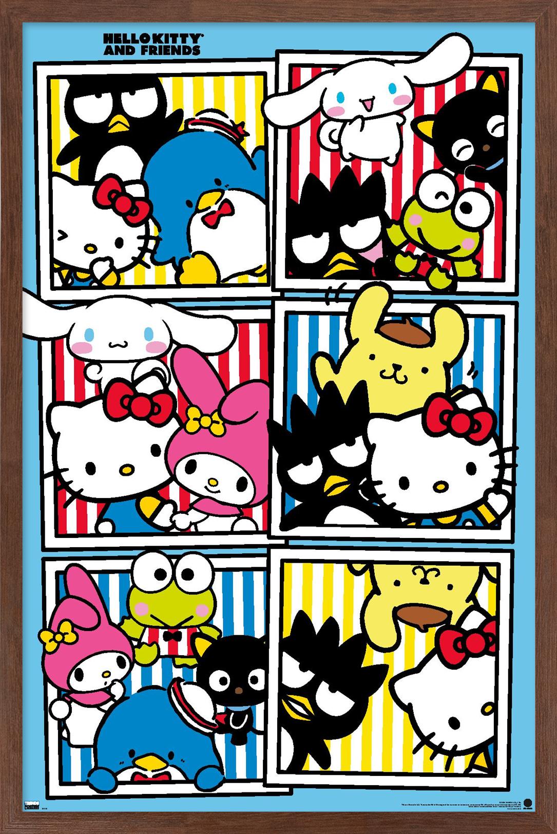 Hello Kitty and Friends: 21 Core - Group Photos Wall Poster