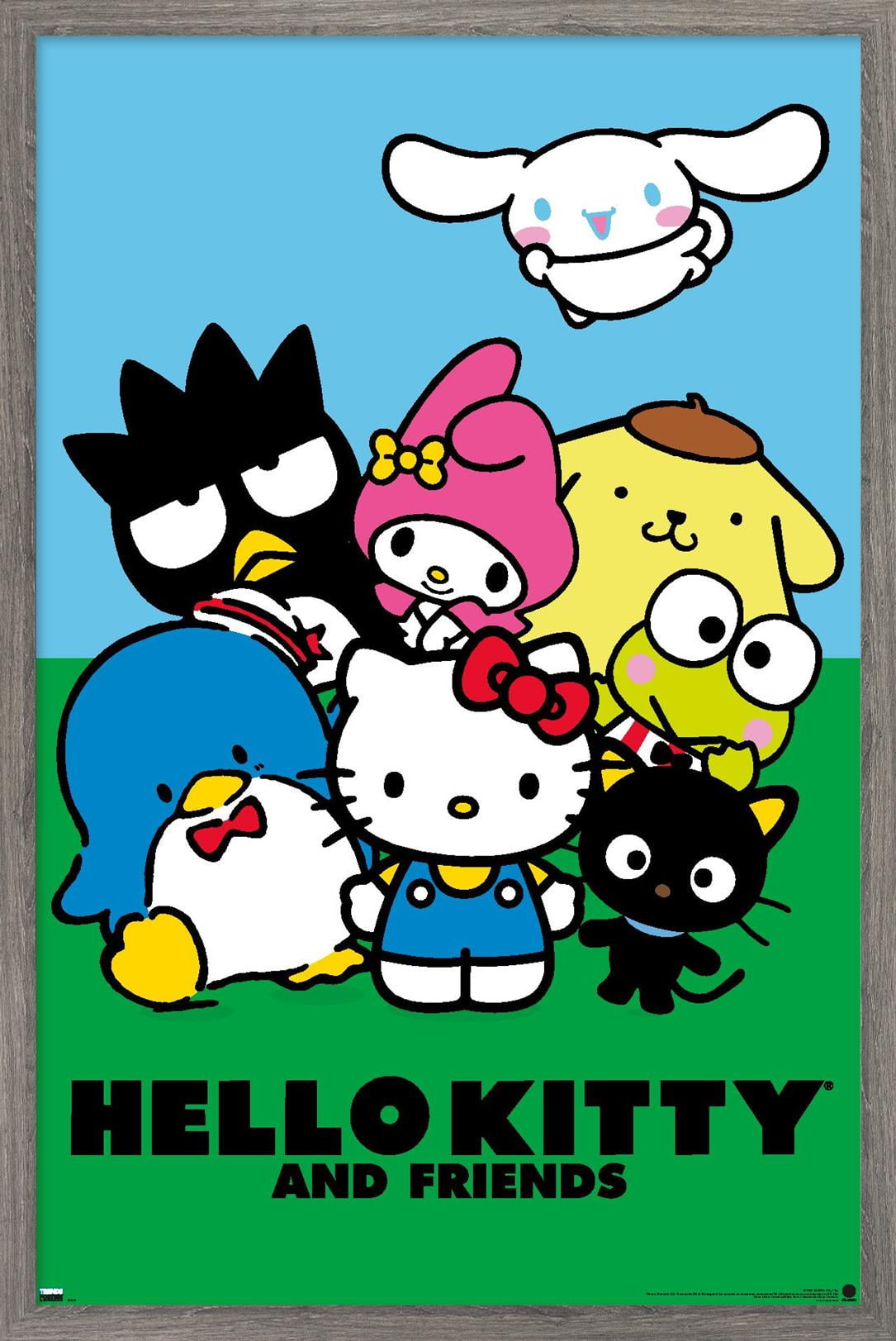 Hello-Kitty-and-Friends-21-