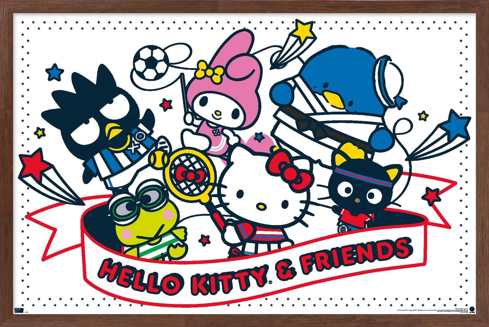 Hello-Kitty-and-Friends-21-