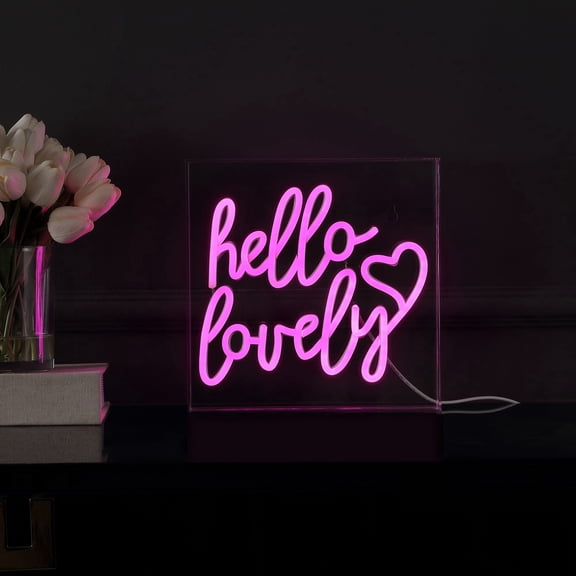 Hello Lovely 10" Square Contemporary Glam Acrylic Box USB Operated LED Neon Light, Pink