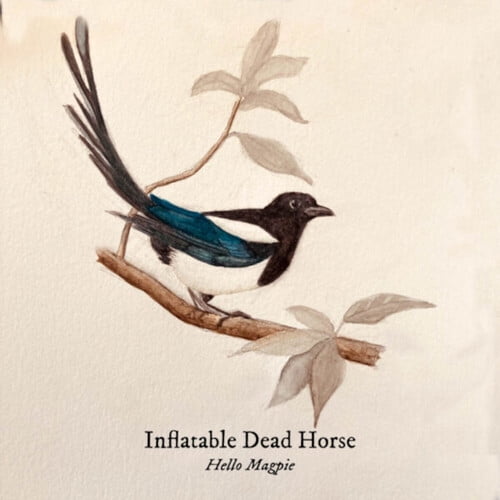 Inflatable Dead Horse - Hello Magpie - Music & Performance - Vinyl