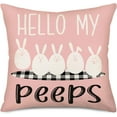 thumbnail image 1 of Hello My Peeps Pillow Covers 20x20 Inch Black and White Buffalo Check Plaid Rabbit Bunny Easter Home Decor Throw Pillow Cases Pink White Religious Farmhouse Decorations Cushion Cover, 1 of 6