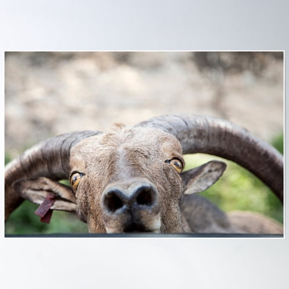 Hello! Poster Wall Art, Modern Wall Decor For Living Room Bedroom, 8x12 UNFRAMED