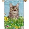 thumbnail image 1 of Hello Spring Floral with Cat Elegant Cat Garden Flag Summer Flower Home Decor Yard Banner for Outside 28 x 40 Inch Double Side, 1 of 6