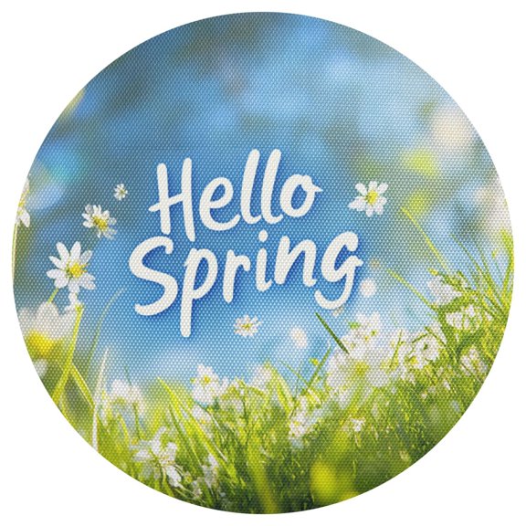 Hello Spring Fresh Grass Daisies PVC Round Grid Placemat Table Mat 1 Pc 15.4" x 15.4"