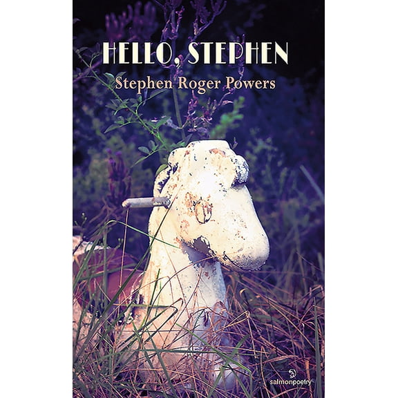 Hello, Stephen (Paperback)