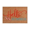 thumbnail image 1 of Hello Summer Outdoor Mats for Front Door Summer Front Door Mat Welcome Mat Outdoor Mats for Home Entrance Prime Outdoor Door Mats for Indoor Outdoor Floor Door Mat Home Bath Room Decoration 16x24IN, 1 of 1
