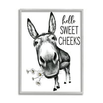 Stupell Industries Hello Sweet Cheeks Animal Humor Donkey Daisies,11 x 14,Designed by Lettered and Lined