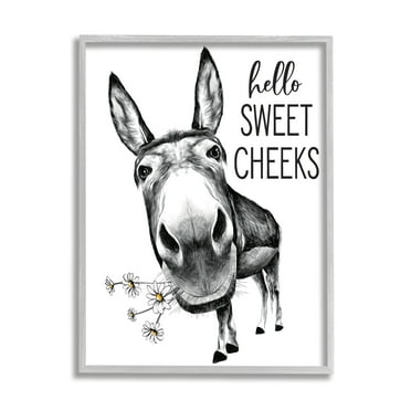 Hello Sweet Cheeks Animal Humor Donkey Daisies 11 in x 14 in Framed Drawing Art Prints, by Stupell Home Décor