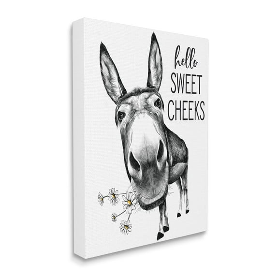 Stupell Industries Hello Sweet Cheeks Animal Humor Donkey Daisies,24 x 30,Designed by Lettered and Lined