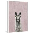 thumbnail image 1 of Hello There Llama Floater Framed Painting Print on Canvas, 1 of 6