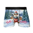 thumbnail image 1 of Hello Welcome Winter The Ski Shiba Inu Snowy Day All Over Print Boxer Briefs Underwear for Men Dad Shibas Dog Lovers Gifts Idea - 13013, 1 of 6