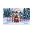 thumbnail image 1 of Hello Welcome Winter The Ski Soft Coated Wheaten Terrier Snowy Day Doormat Wheatie Dog Lover Indoor Outdoor Welcome Mat - 13013, 1 of 5