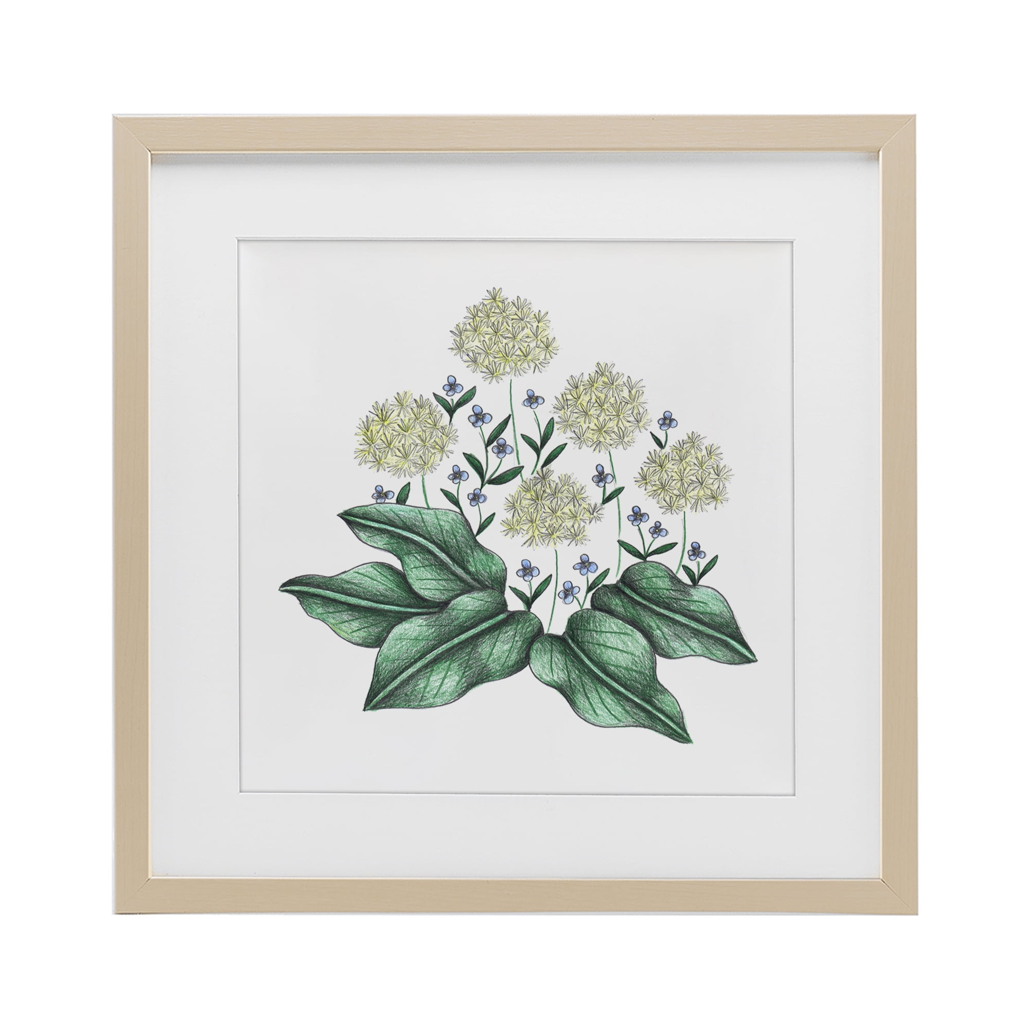 Hello Wildflower Vintage Sketch Birch Framed Print Under Glass, design by Cecilia Battaini