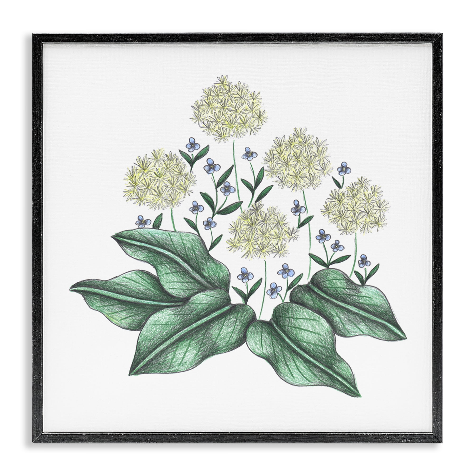 Hello Wildflower Vintage Sketch Black Framed Giclee Art, design by Cecilia Battaini