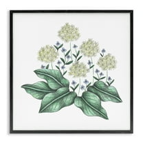 Hello Wildflower Vintage Sketch Black Framed Giclee Art, design by Cecilia Battaini