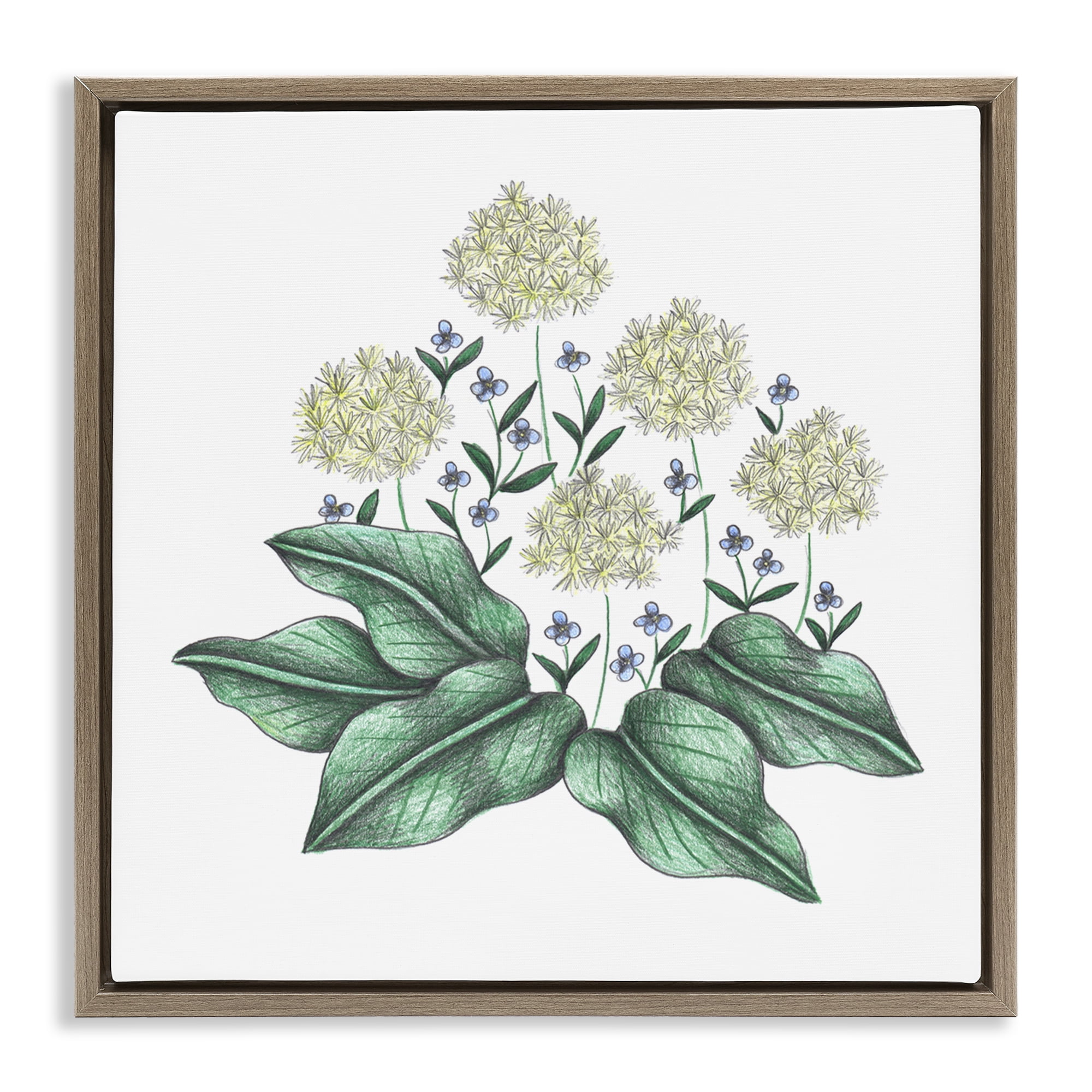 Hello Wildflower Vintage Sketch Brown Framed Floater Canvas Wall Art, design by Cecilia Battaini